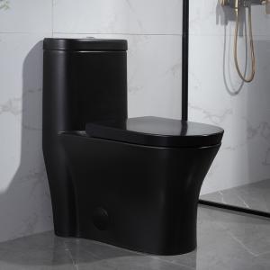 China 300mm Siphonic One Piece Toilet American Standard Black Porcelain wholesale