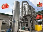 Commercial Tomato Puree Production Line SUS304 Automatic Tomato Processing Line