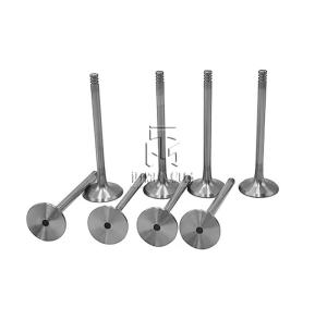 China Intake Valve 04234953 4234953 0423 4953 for deutz 914 Diesel Engine wholesale