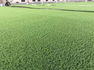 China Artificial Grass Baseball Turf Football Grass For Soccer Ground 60mm wholesale