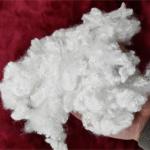 White Virgin Polyester Fiber For Demanding Applications