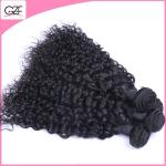 100% Virgin Black Color Curly Hair for Perfect Lady New Arrived Mongolian Curly