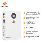 51.2V 200Ah 10.24Kwh Wall Mounted Lifepo4 Battery for Household Solar Systems