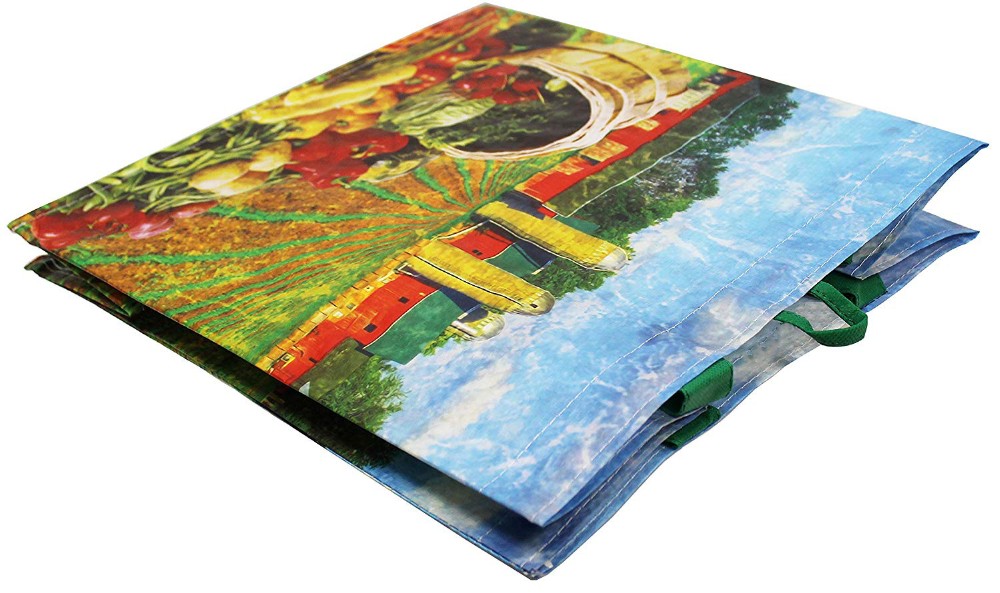 Picture Printed Recycled Shopping Bag , Pp Woven Tote Bag Customized Size