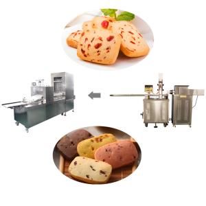 China Automatic 3.5KW Power 10-30g Weight Output Frozen Cookie Making Machine Equipment wholesale