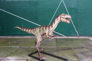China Realistic Coelurosaurs Dinosaur Lawn Statue Snow Proof For Festival Exhibition on sale