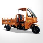 Water-Cooling Engine 250cc Semi Cabin Motorized Cargo Tricycle for Your Business