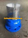 Base GGG50 DIN flanged foot valve made in China