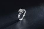 925 Sterling Silver Bridal Moissanite Engagement Ring Set 1 Carat