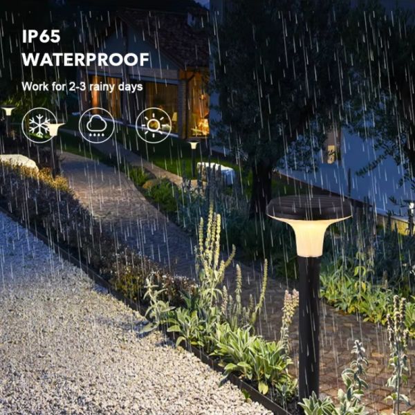 IP65 Waterproof Solar Powered Lawn Light for Backyard Decoration