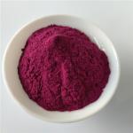 Antioxidants Food Grade Bilberry Fruit Powder With Best Price
