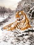 Home Decoration 3D Lenticular Pictures / Animal Print Lenticular