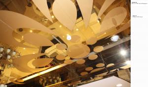 China Stainless Steel Ceiling Tiles , Panels , Systems , Creative Design Art wholesale