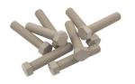Anti Corrosion Peek Machine Screws Peek Bolt Oem Odm Available