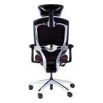 WFH Chair With 4D Armrests Adjustable Lumbar Support Headrest Swivel Executive