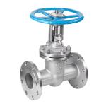 Customized Request Z41W-150/300/600lb ANSI Flanged Gate Valve CF8 in ISO 9001