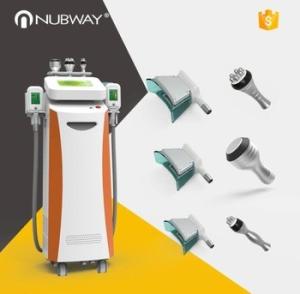 China 5 cryo handles Low price 10.4 inch touch color screen cryotherapy cryolipolysis fat freezing machine wholesale