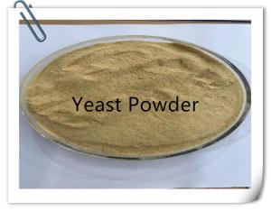 China High Protein Yeast Powder Animal Feed Grade with Minerals wholesale