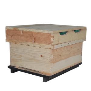 China 18mm Thickness Fir One Layer Bee Hive wholesale
