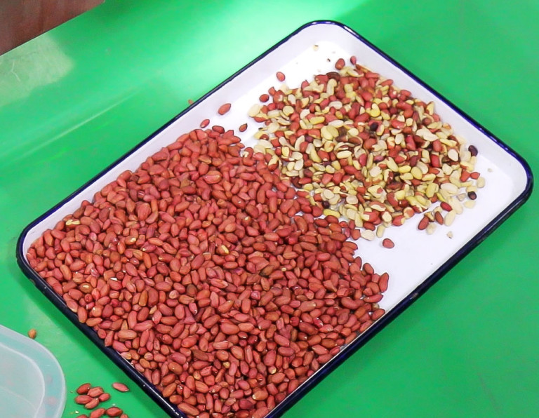 Grain Peanut 256 Channels Nuts Color Sorter With Toshiba CCD Camera
