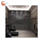 Indoor Artificial Childrens Rock Climbing Wall Anti Static For Trampoline Park