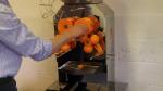 Coffee Shop Commercial Orange Juicer Machine Automatic Low Power Consumption