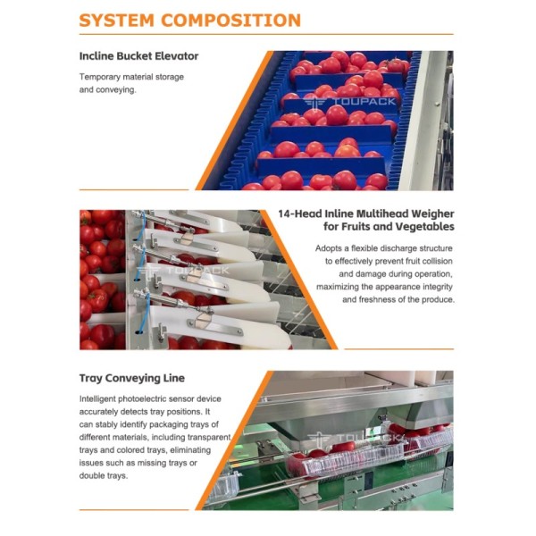 Speed Meets Precision: The Ultimate Small Fruit Packaging Solution