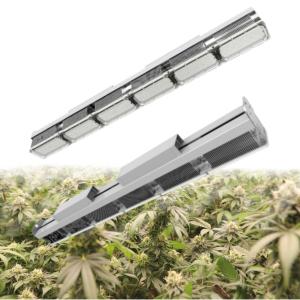 China No Shading Greenhouse LED Grow Lights For Succulents Full Spectrum wholesale