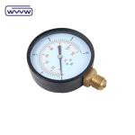 100mm Bourdon Tube Manometer Carbon Steel General Pressure Gauge