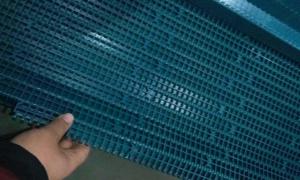 China                  1000 Series with 25.4mm Pitch Plastic Conveyor Modular Belt              wholesale