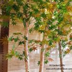 Indoor Simulation Birch Tree Autumn Maple Leaves Show Window Screen Decoration