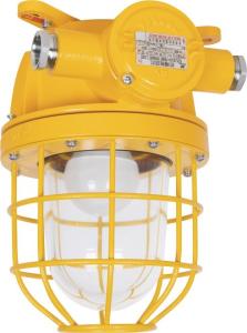China dF1 Explosion Proof Marine Pendant Light Corrosion Proof Waterproof Protection wholesale