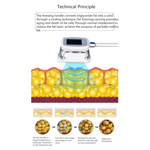 RF Cryolipolysis Slimming Machine dual frequency cavitation cryolipolysis vacuum machine