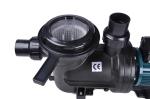 Energy Saving Solar Swimming Pool Water Pump For Salt Water 1.2HP
