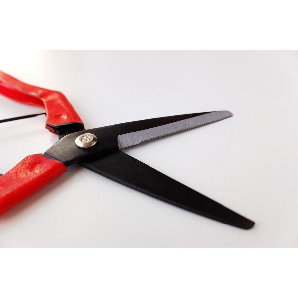 Kitchen Ambidextrous Design Pruning Snips Micro Sawtooth Blade