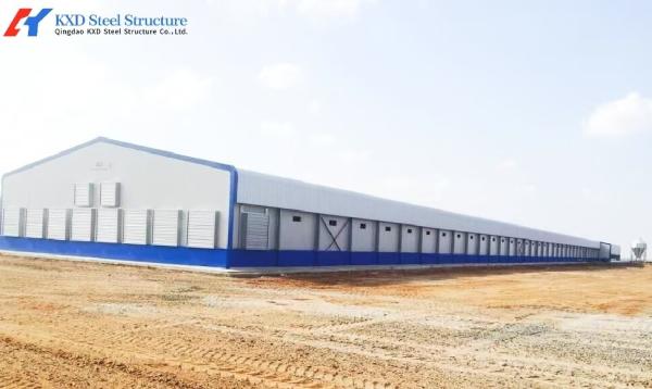 Easy Clean Steel Poultry House Layer Hen House Steel Structure Chicken Broiler