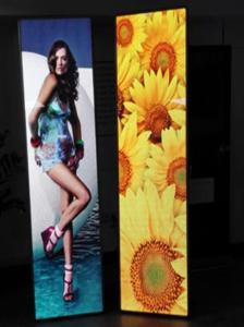 China P2.5 Hd Led Screen Movie Poster Display wholesale