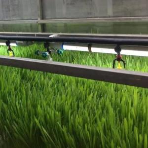 China Indoor Hydroponics Commercial Microgreen Growing System with JX-Container-Greenhouse wholesale