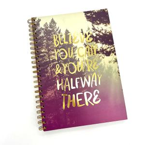 China Hole Punch Golden Binding Spiral Notebook Printing Blank Pages wholesale