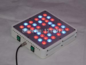 China 2018 Top Rated 200w Apollo led grow light Excellent 5w led grow chip Red Blue 660nm grow wholesale