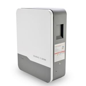 China 51.2V 100Ah/200Ah Energy Storage System Wall Mount Battery Case wholesale