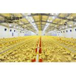 Professional Chicken Breeding Cage ASTM Standard with Hot Dip Galvanised Coating