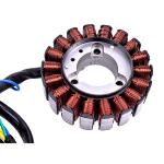 250CC Motorcycle Ignition Coil GT250 Engines for Moped Scooter ATV