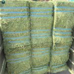 High Quality PP Twine Manufacture Baler Twine For Agriculture In China