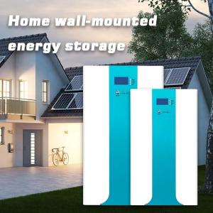 China Soonest 10Kwh Home Energy Storage Lithium Battery Rack Mount Solar Battery Cell Lithium Ion Solar Storage Battery Lifepo4 wholesale