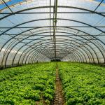Hot Galvanized Steel Structure Greenhouse Kits with Plastic Film and Shade Net
