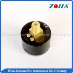 Brass Tube Miniature Pressure Gauge / Setting Instruction Gas Pressure Gauge