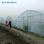 Plants Planting Agriculture Standard Plastic Film 8m 60m Pe Film Single Span