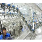 3400KG Halal Poultry Slaughterhouse Equipment Turkey Duck Broiler Chicken