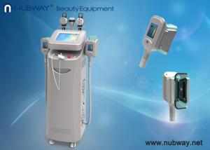 China Hot!promotion!!! cryolipolysis machine/cryolipolysis slimming machine with factory price wholesale